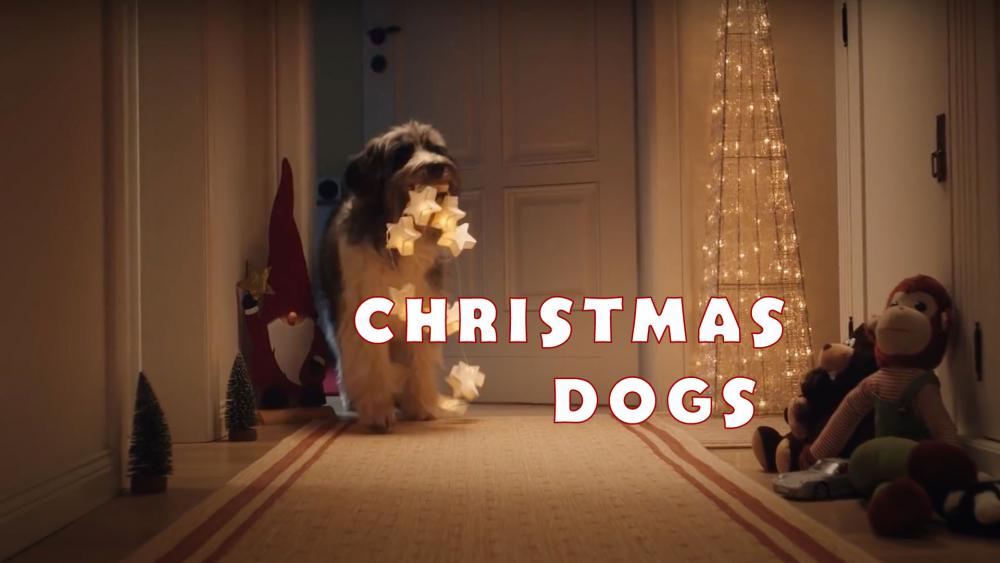 Christmas Dogs