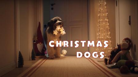 Christmas Dogs